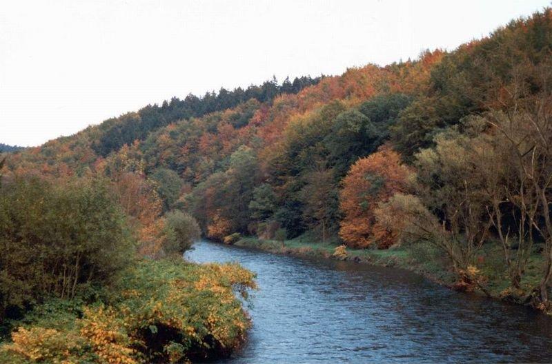 Herbstbauume-am-FLuss2.jpg