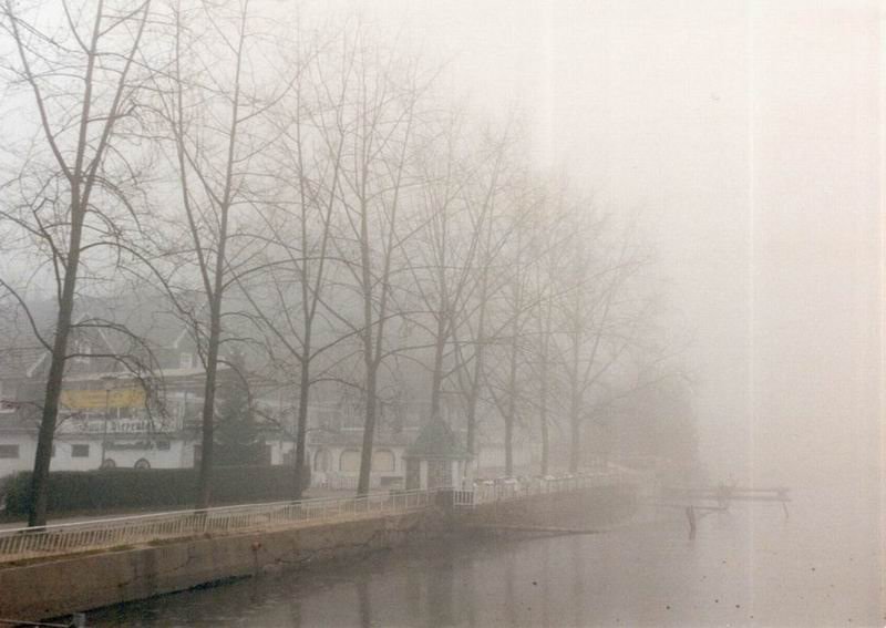 See-im-Nebel.jpg