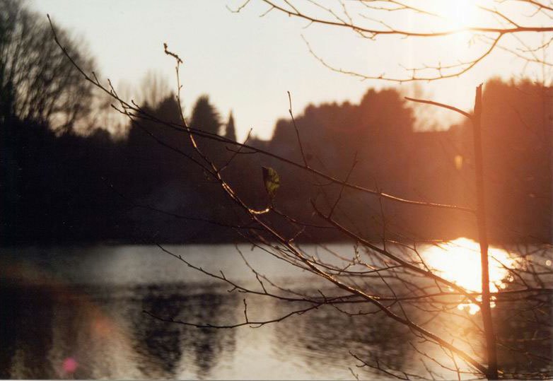 Sonnenuntergang-am-See5.jpg