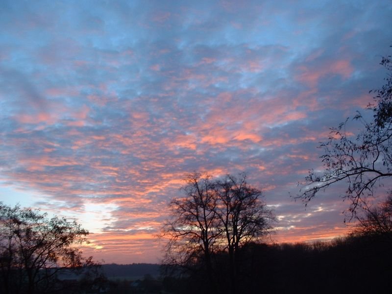 sonnebaumwolken.jpg